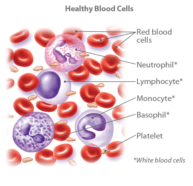 what-is-considered-a-high-red-blood-cell-count-what-is-a-normal-red